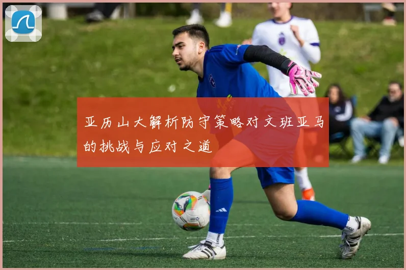 亚历山大解析防守策略对文班亚马的挑战与应对之道