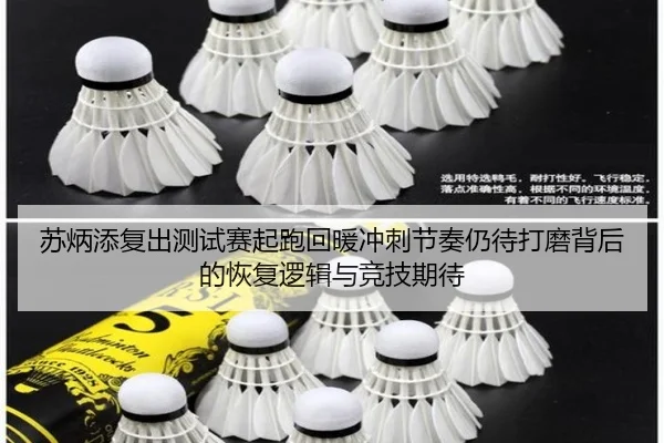 苏炳添复出测试赛起跑回暖冲刺节奏仍待打磨背后的恢复逻辑与竞技期待(kaiyun)